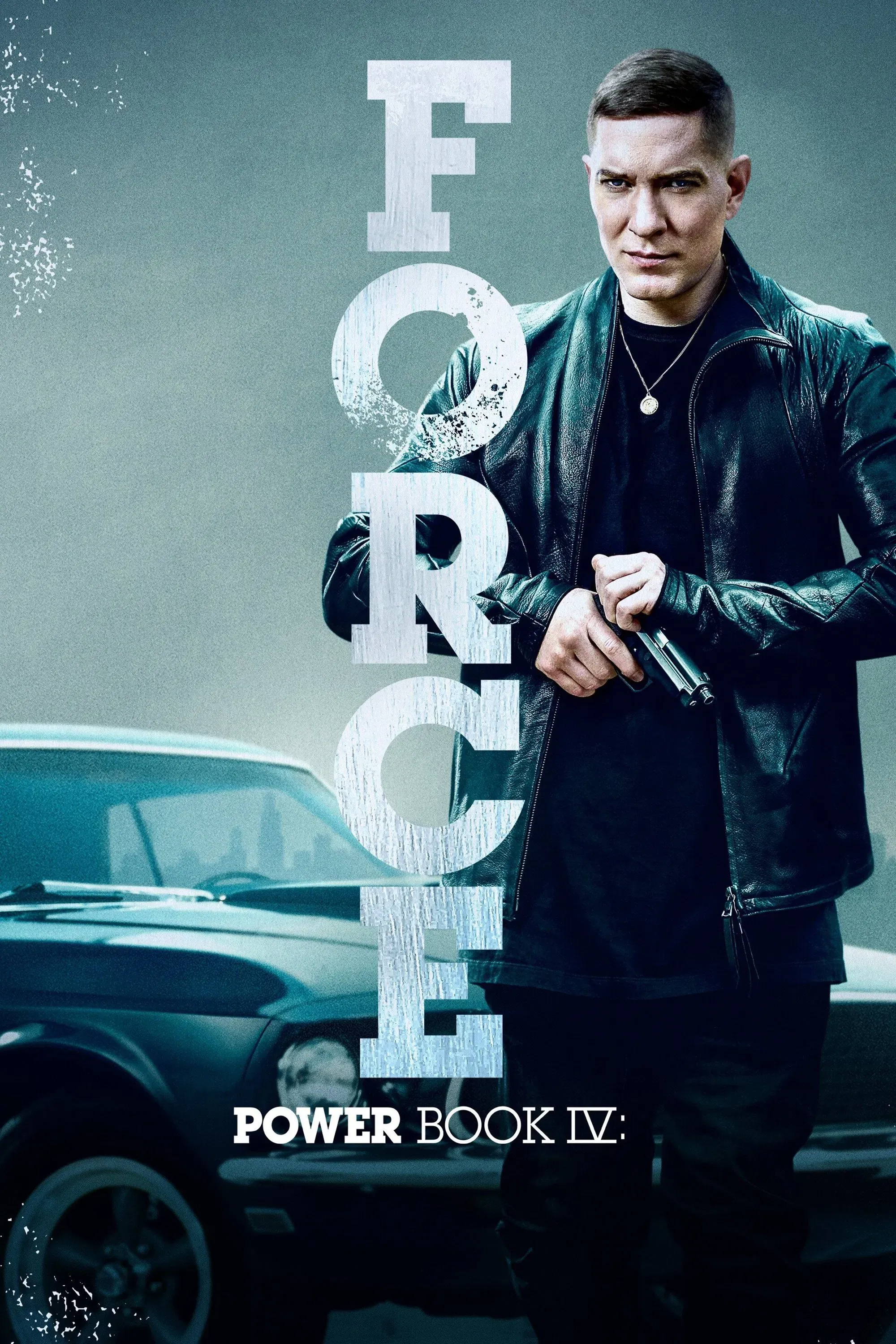 Poster of Power Book IV: Force
