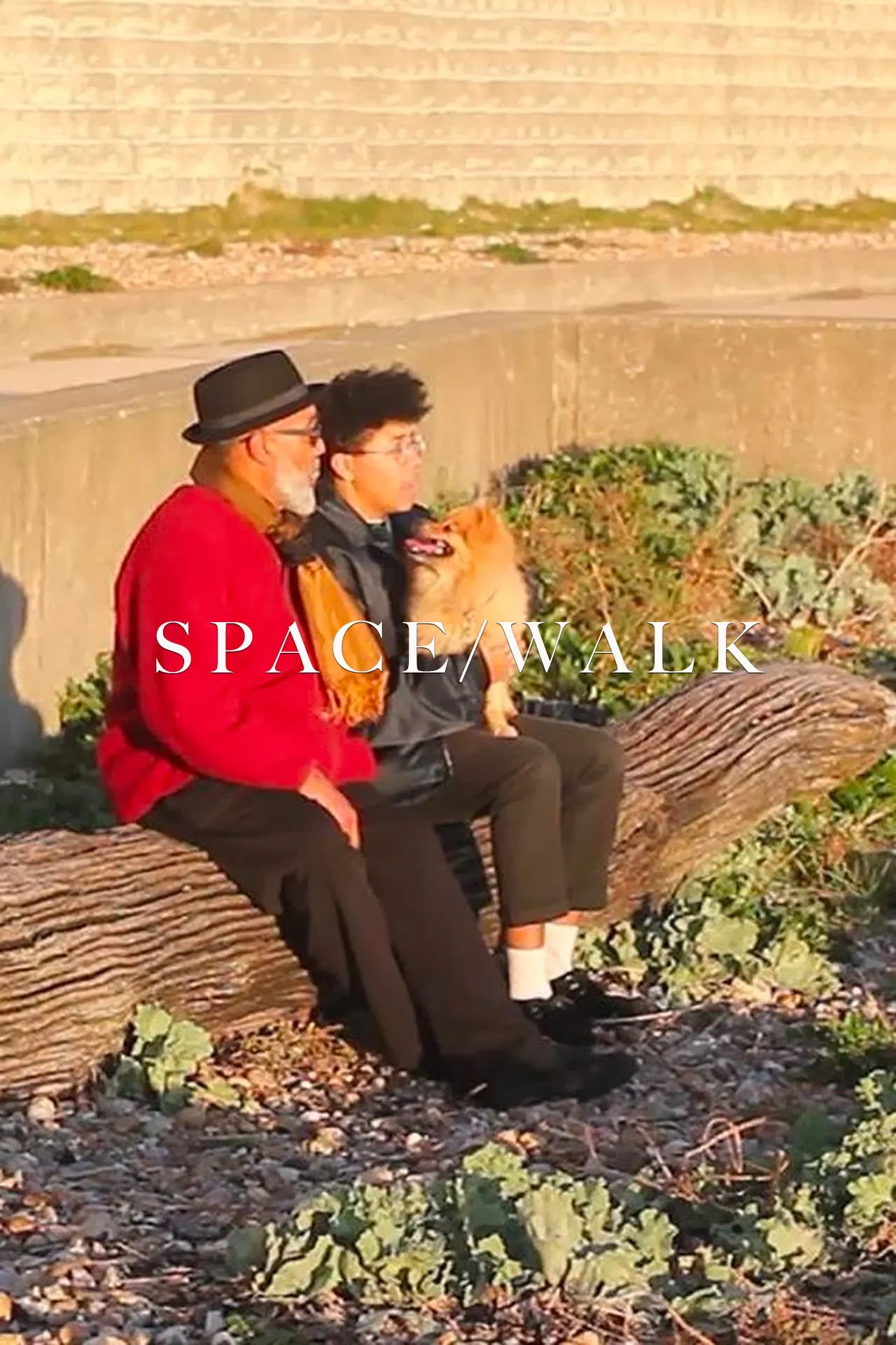 Poster of the movie Space/Walk