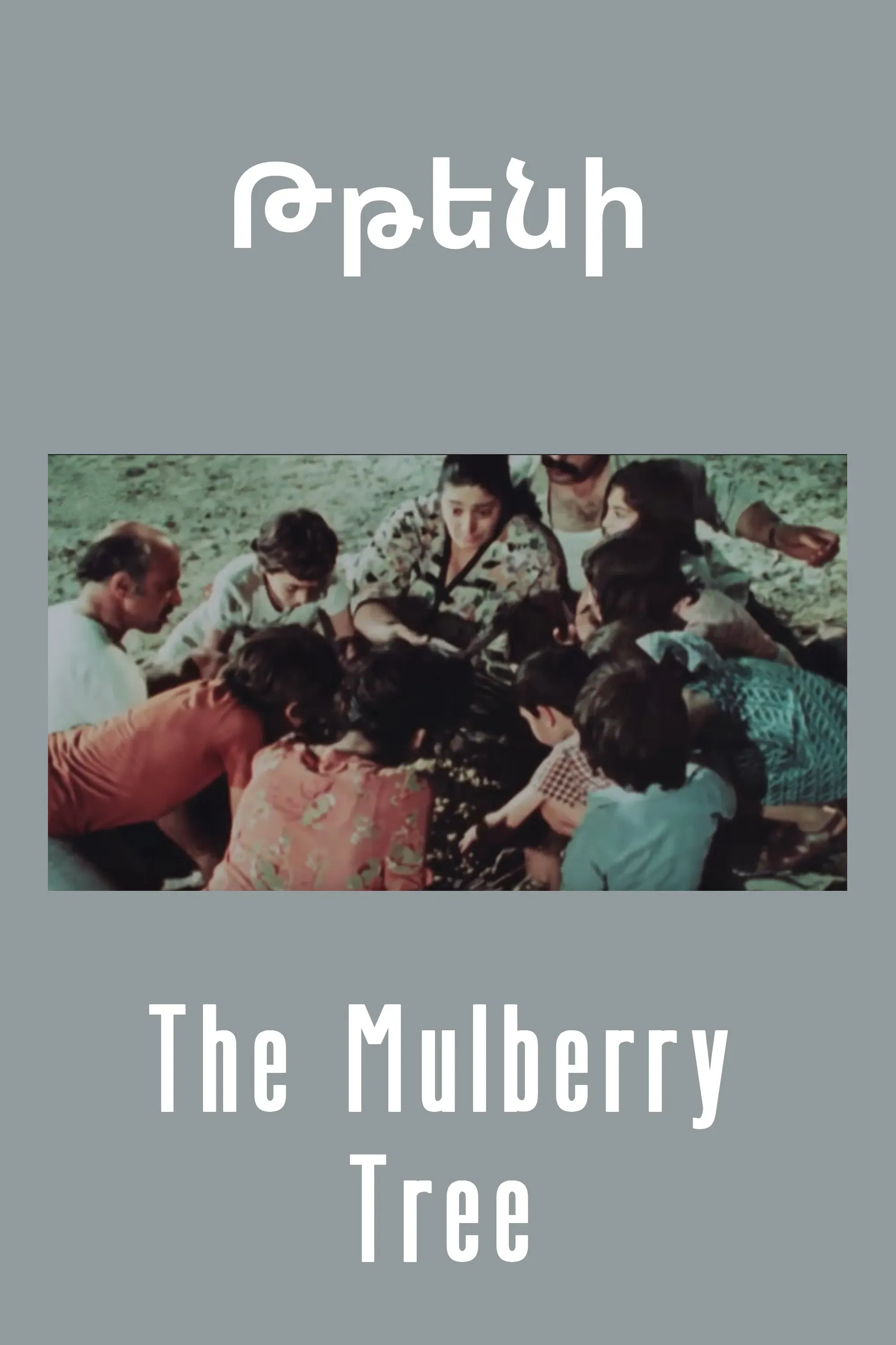 Poster of the movie The Mulberry Tree