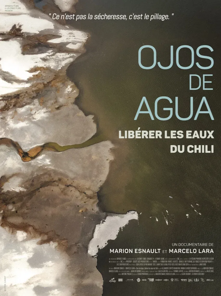 Poster for Ojos de Agua: Freeing the Waters of Chile