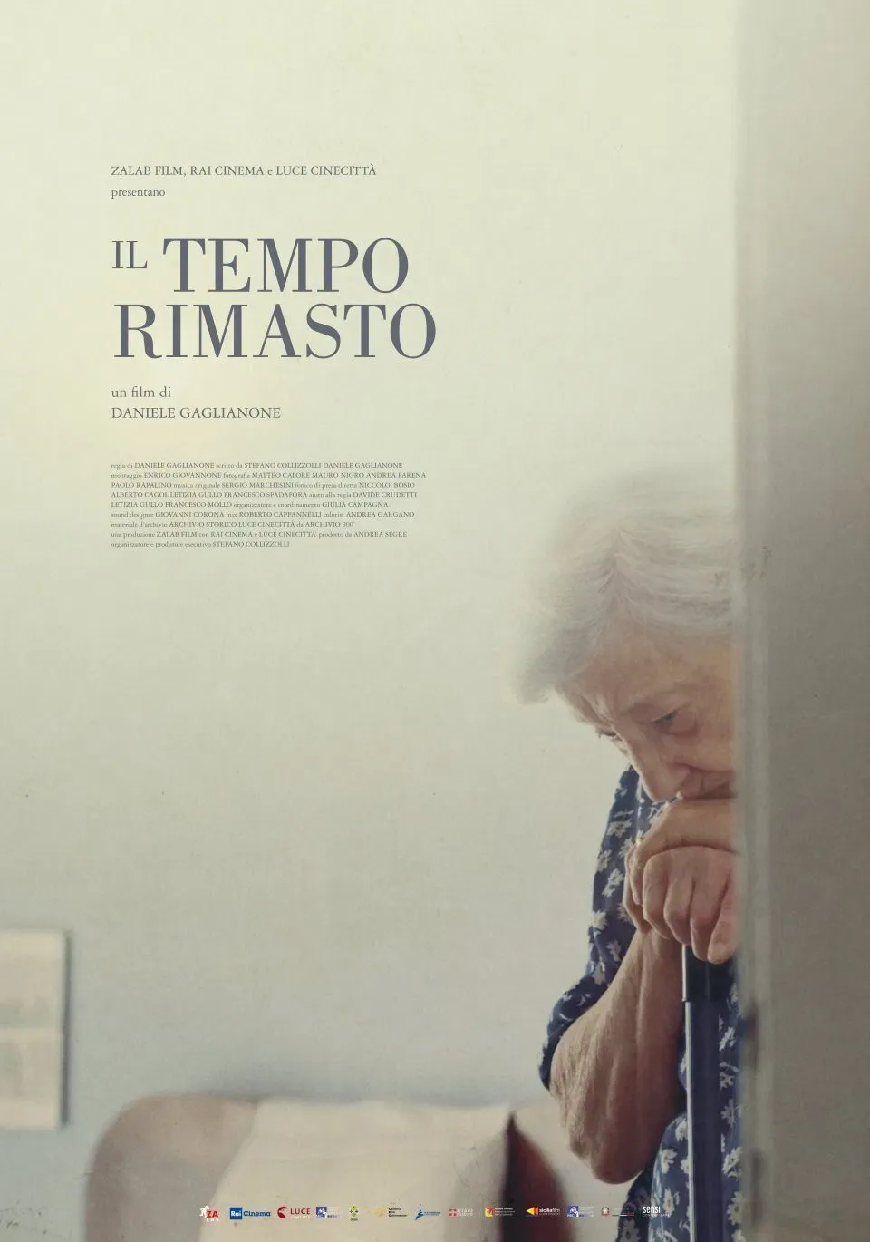Poster of the movie Il tempo rimasto