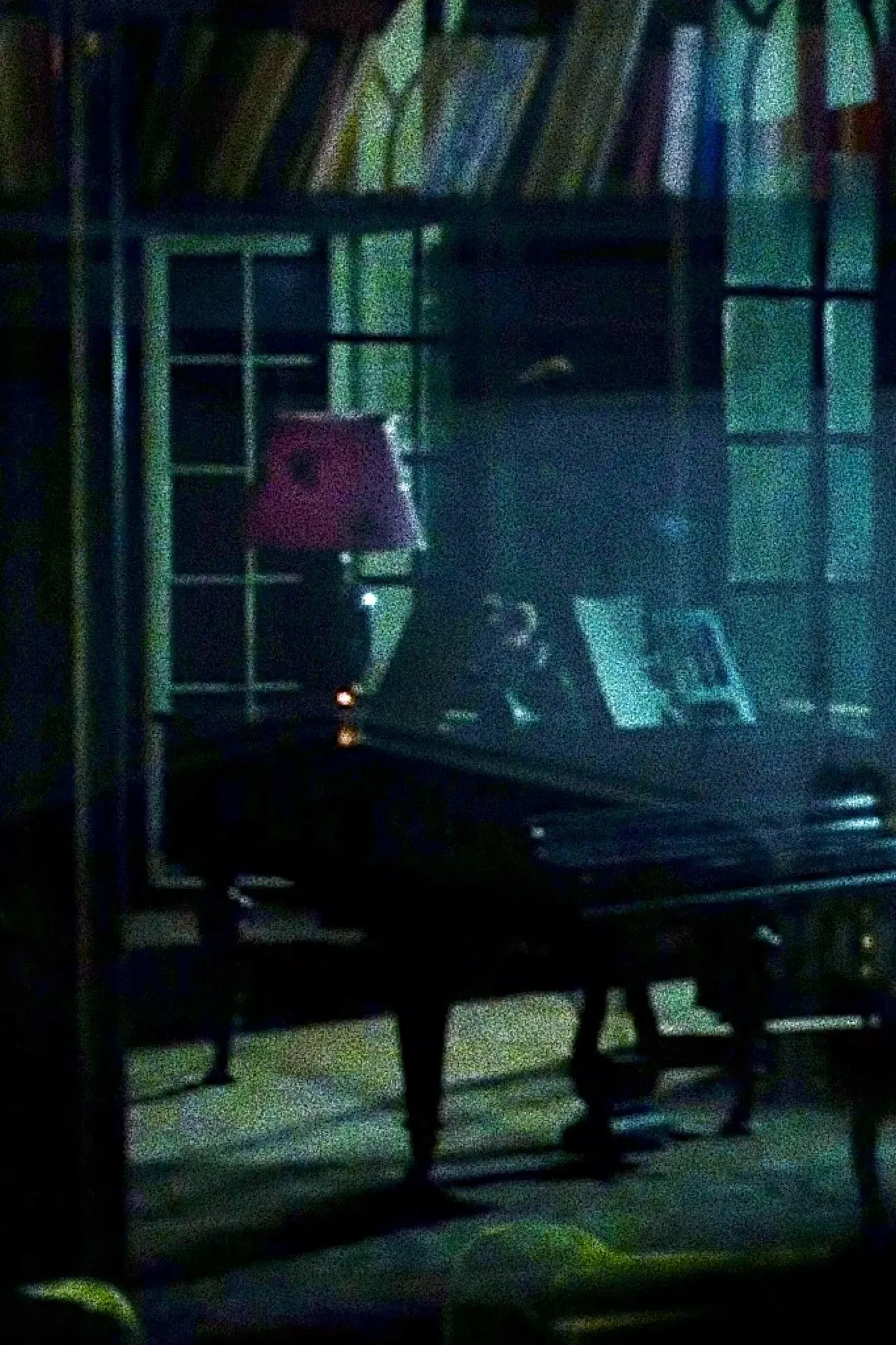 Poster of the movie A House With Many Voices