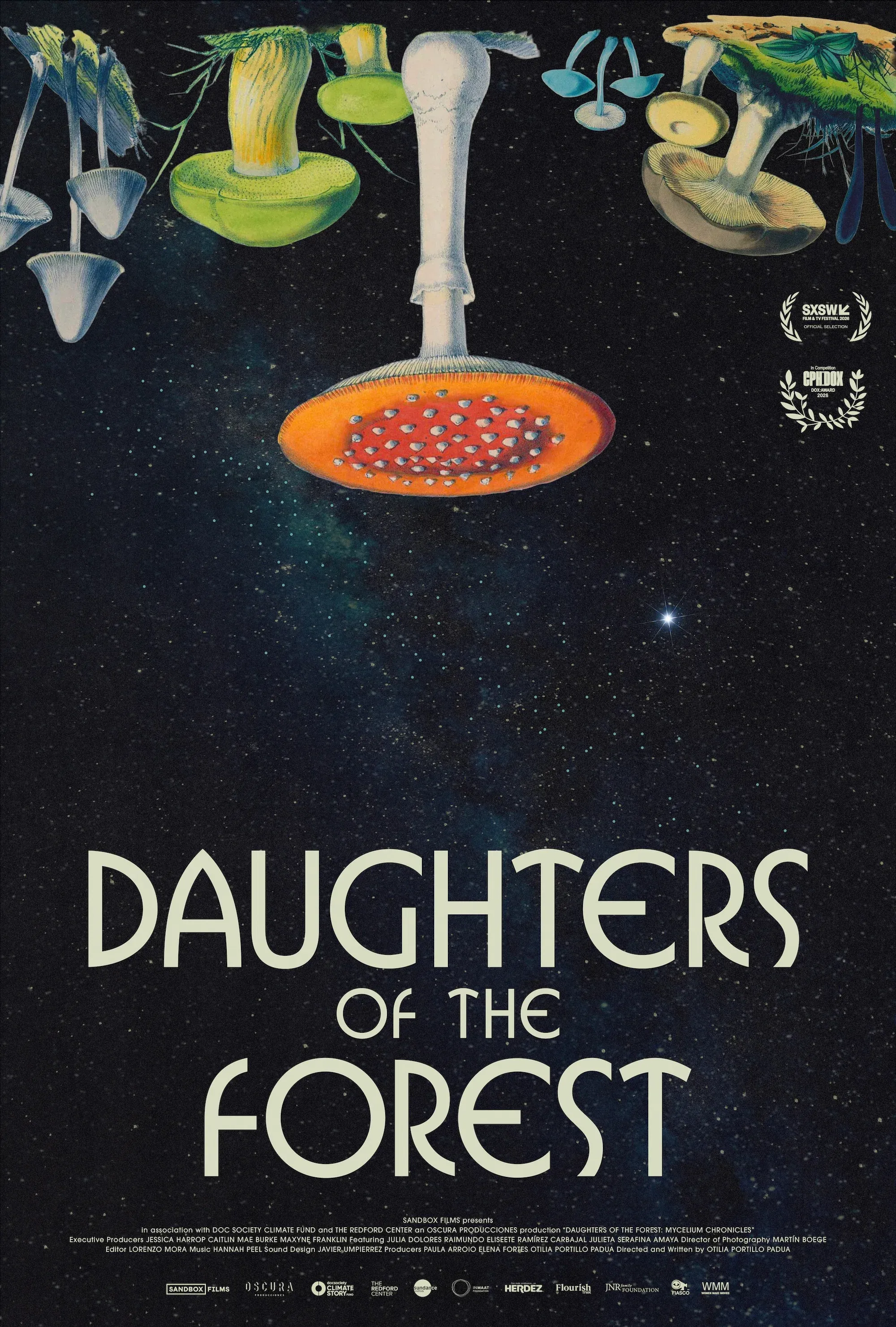 Poster for Daughters of the Forest