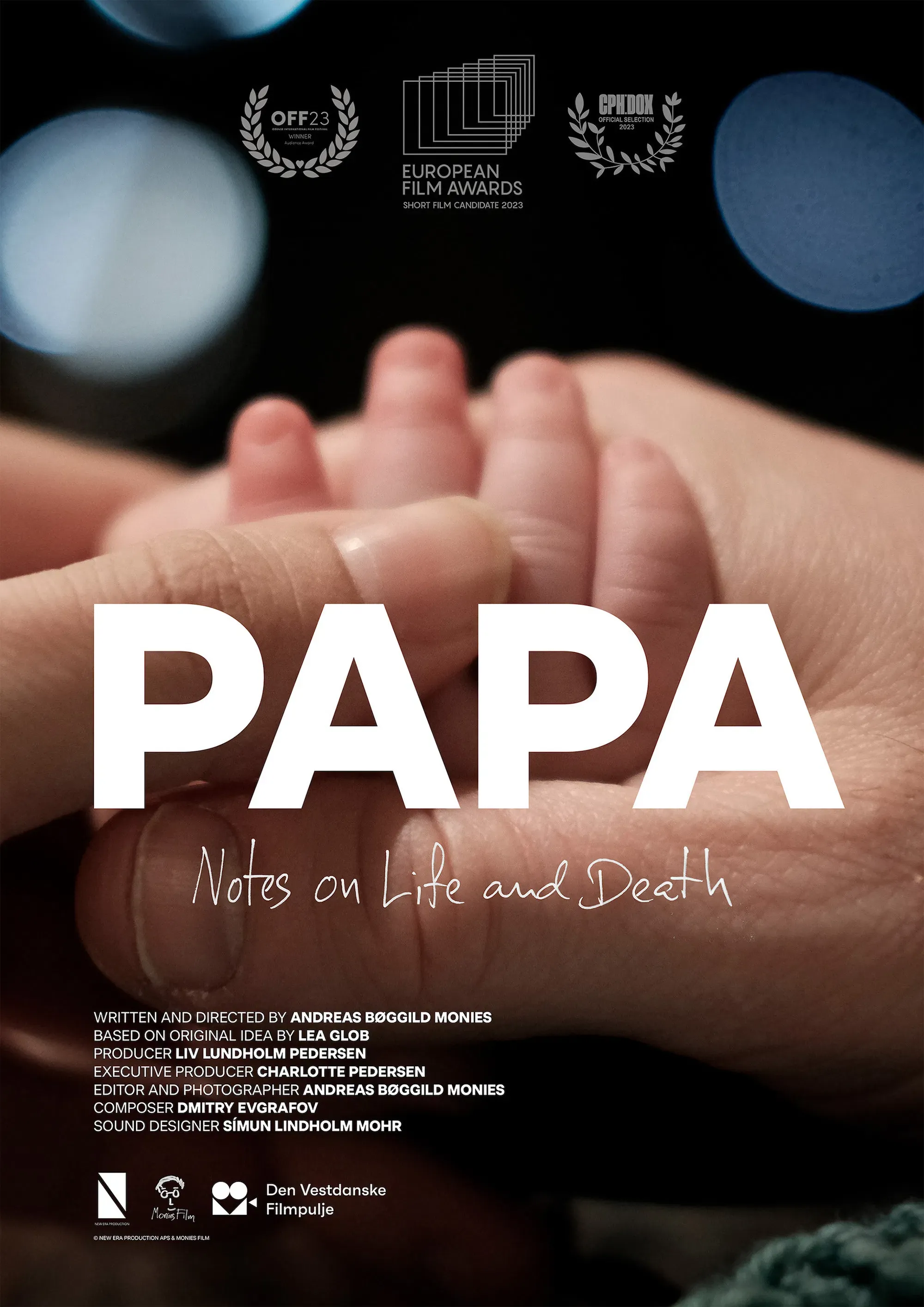 Poster of the movie Papa – Notes on Life and Death