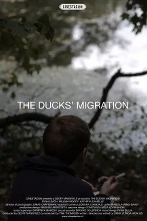 Poster of the movie The Ducks' Migration