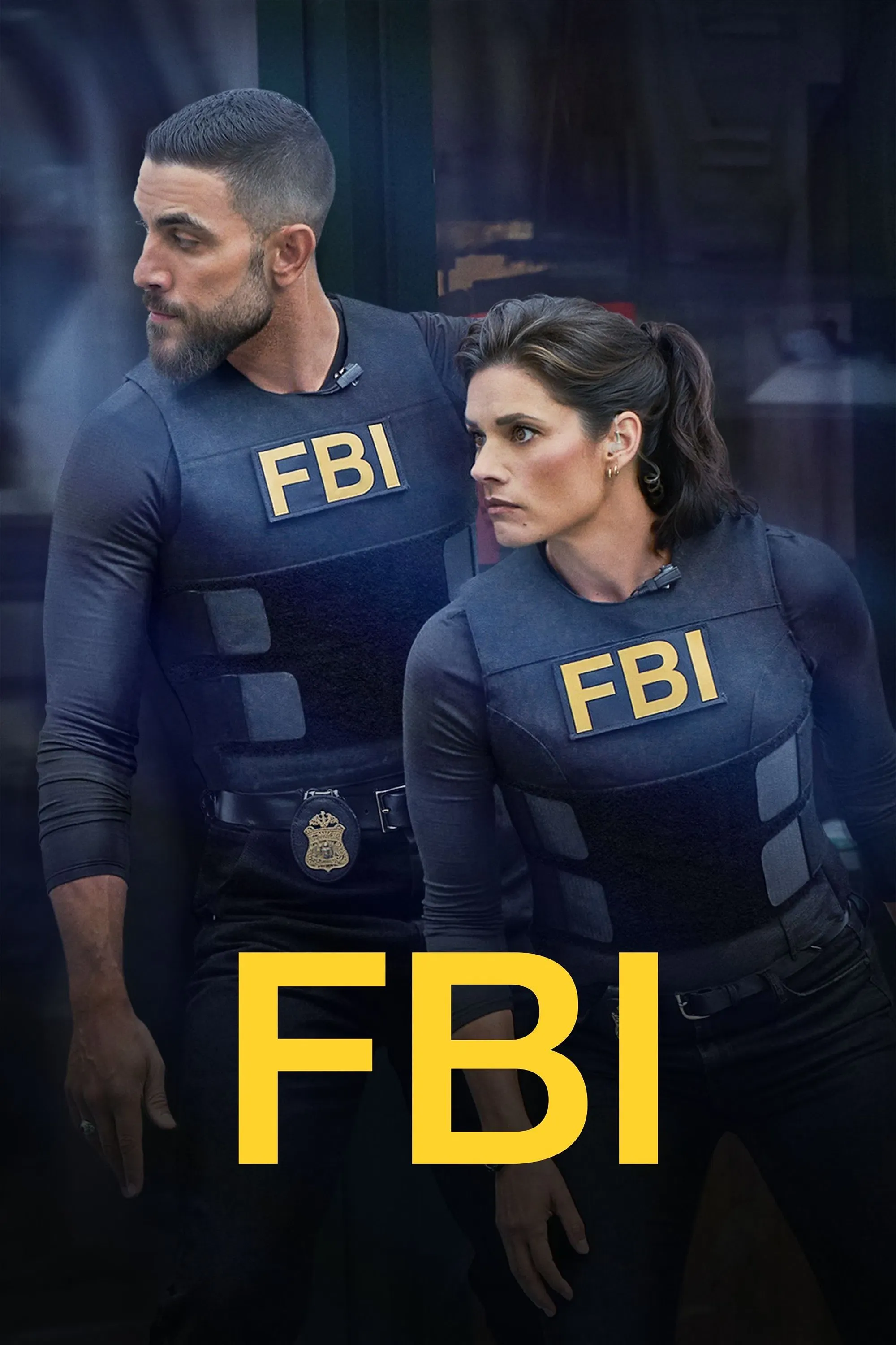 Poster of FBI