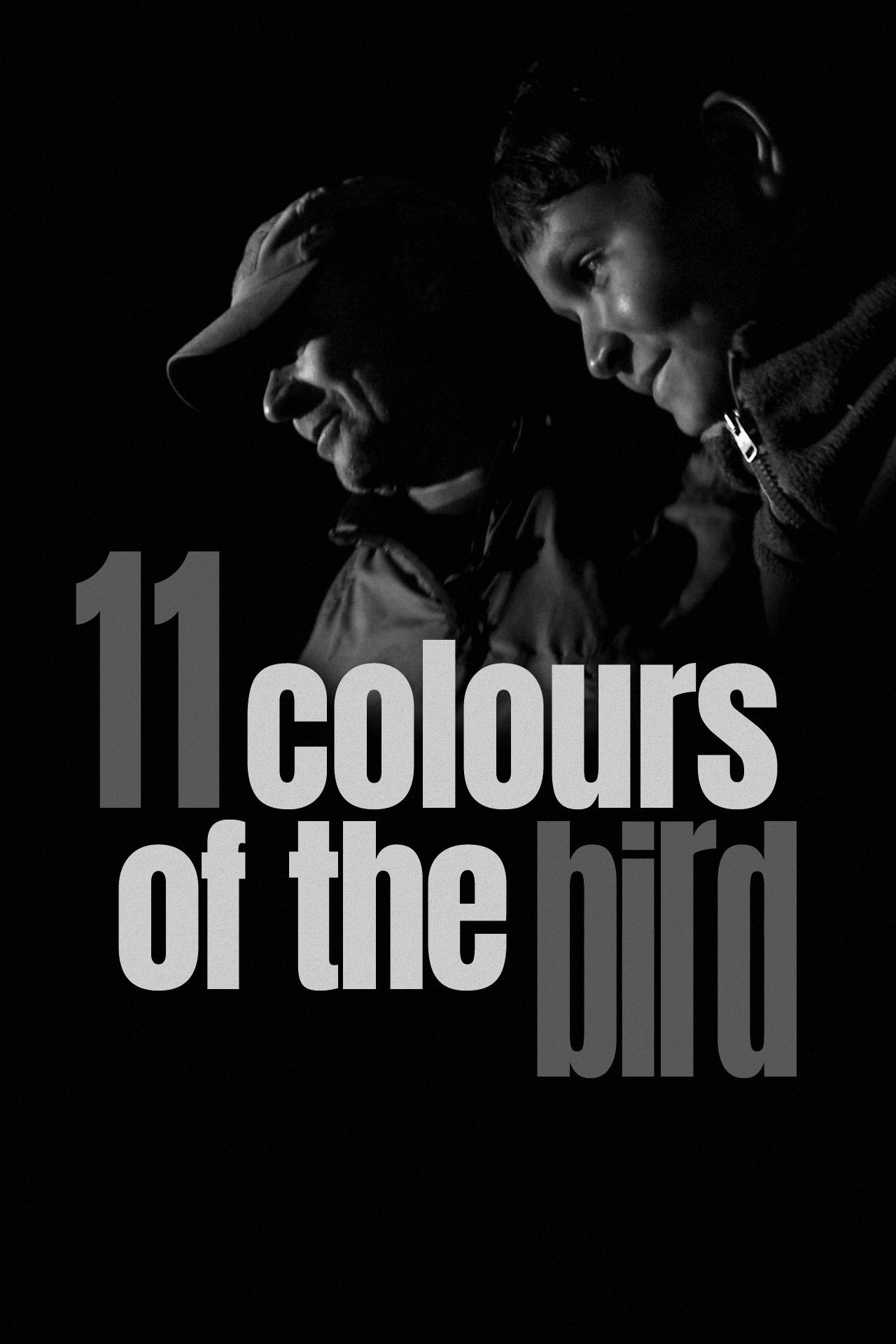 Poster of the movie 11 Colours of the Bird