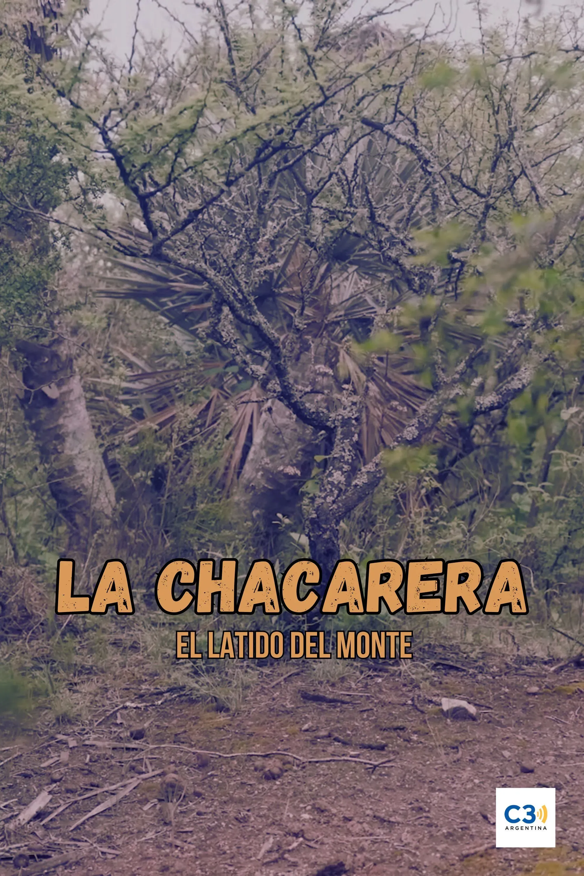 Poster of the movie La chacarera: el latido del monte