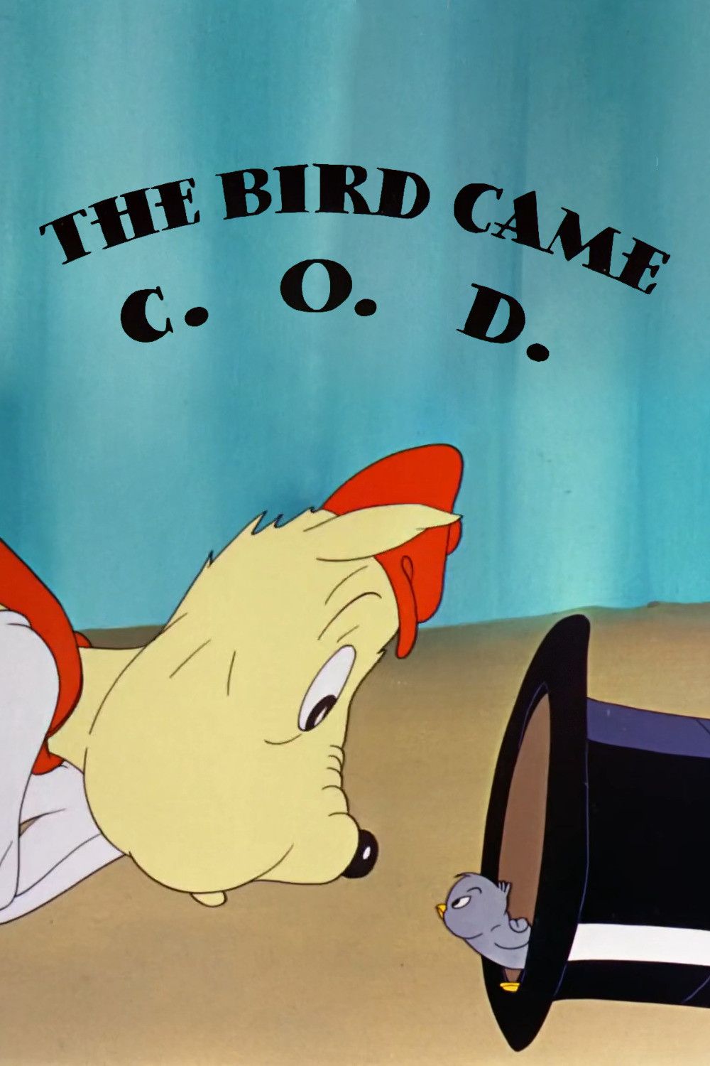 Poster of the movie The Bird Came C.O.D.