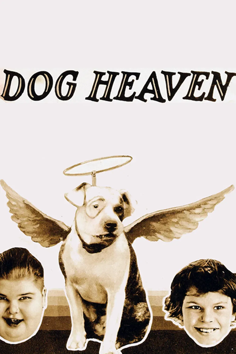 Poster of the movie Dog Heaven