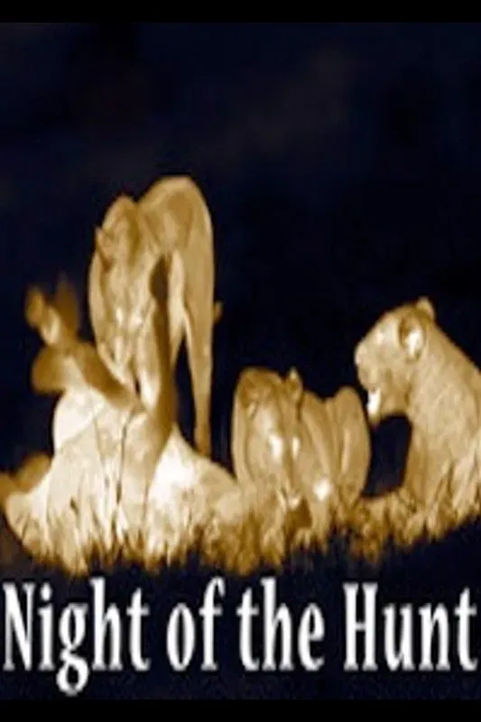 Poster of the movie Night of the Hunt