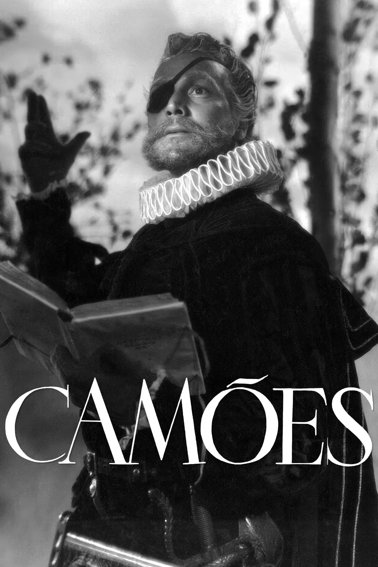 Poster of the movie Camões
