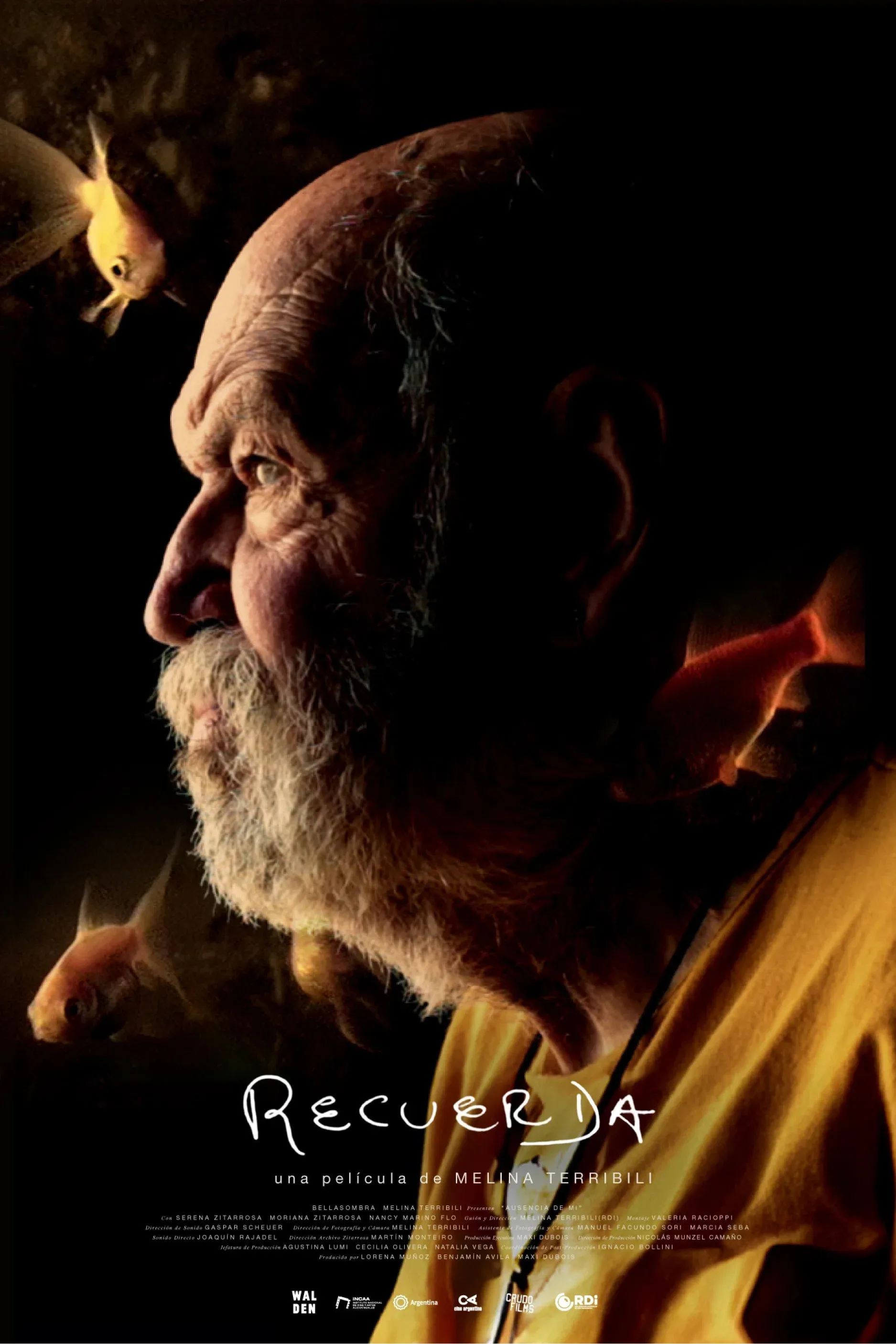 Poster for Recuerda