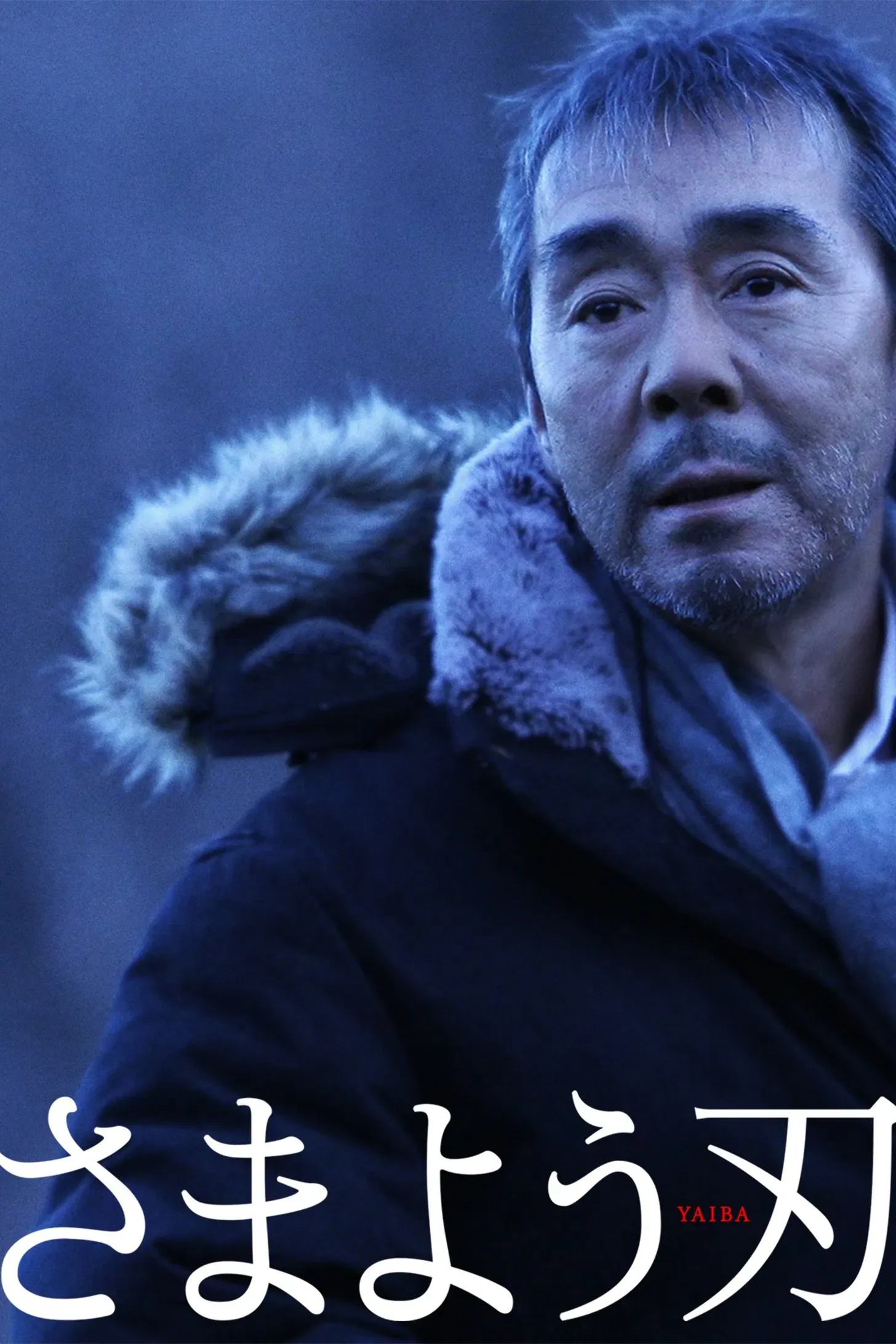 Poster of the movie The Hovering Blade