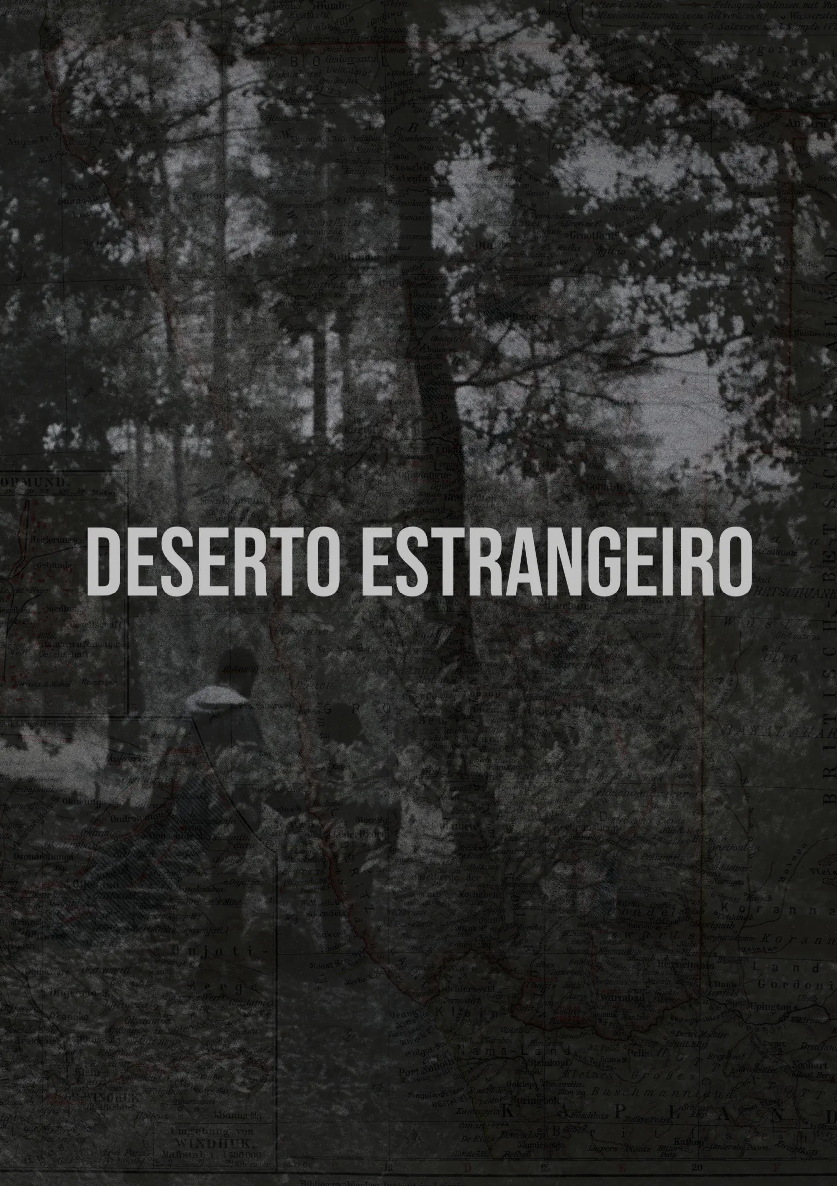 Poster for Foreign Desert
