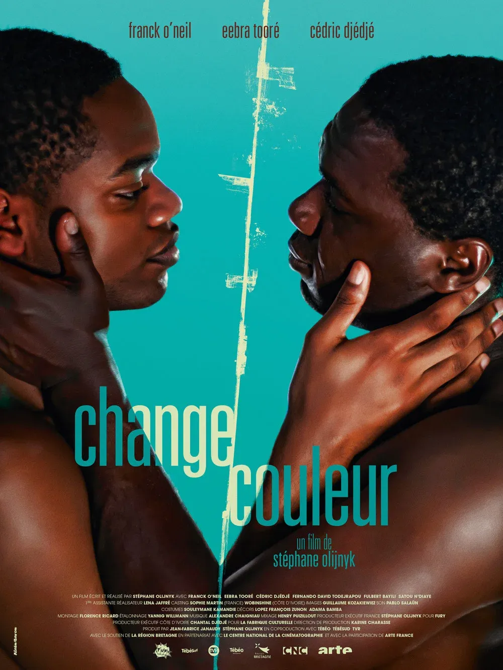 Poster for Chameleon