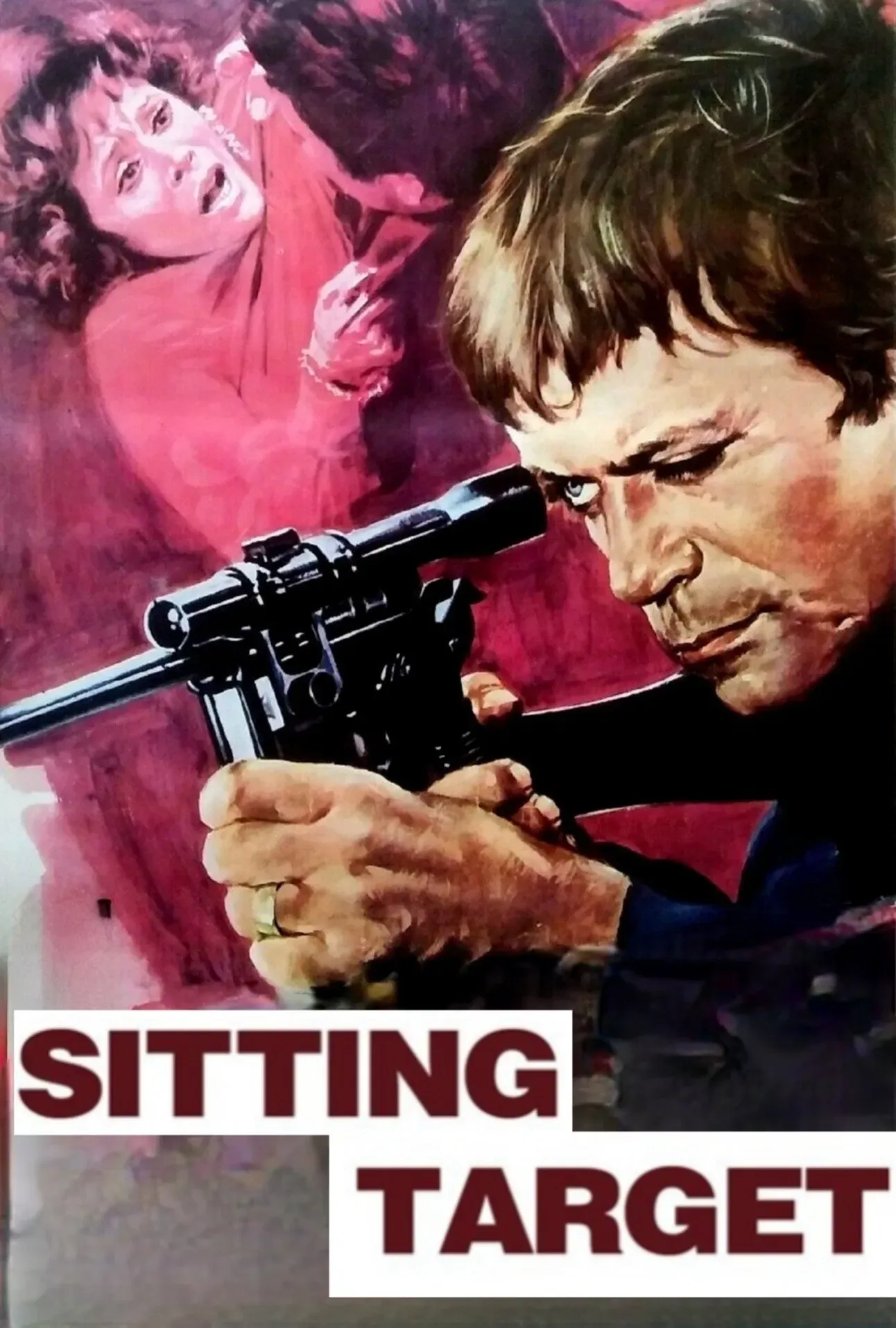Poster of the movie Sitting Target
