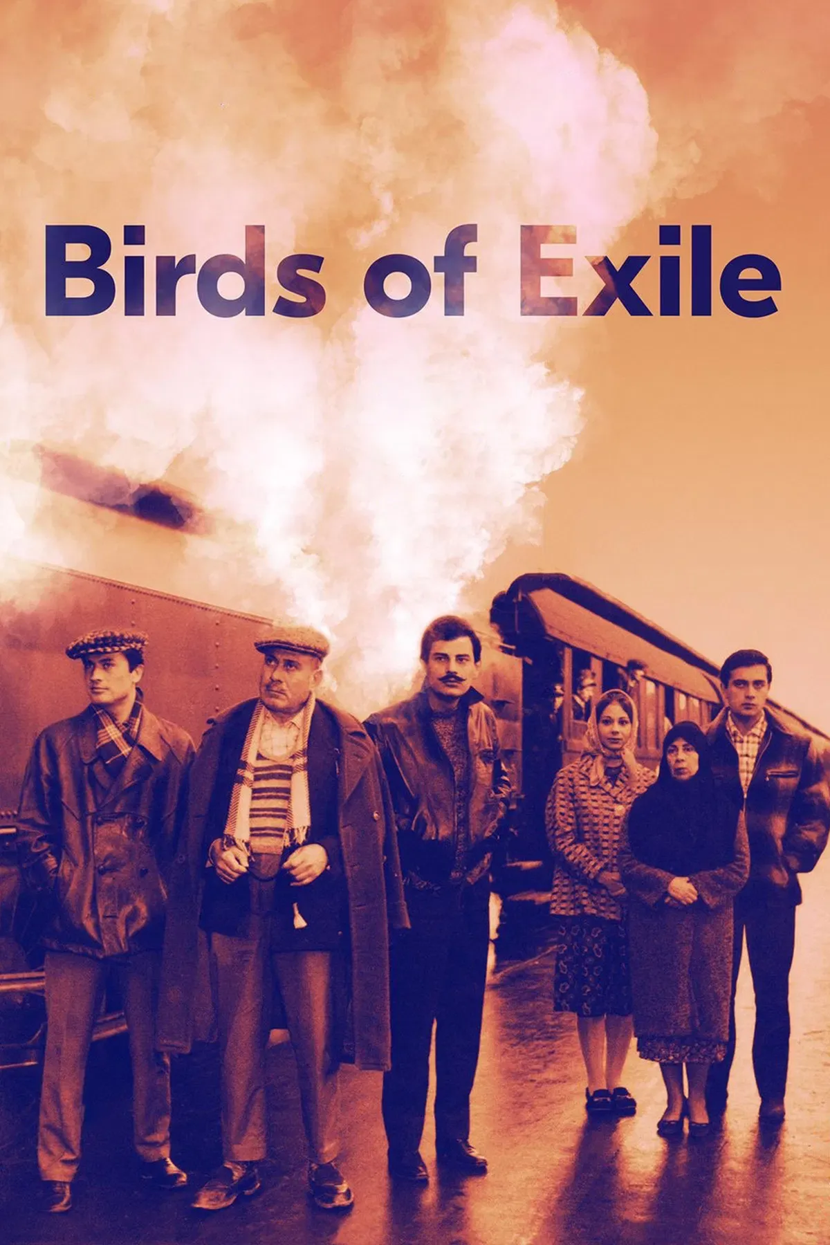 Poster of the movie Birds of Exile