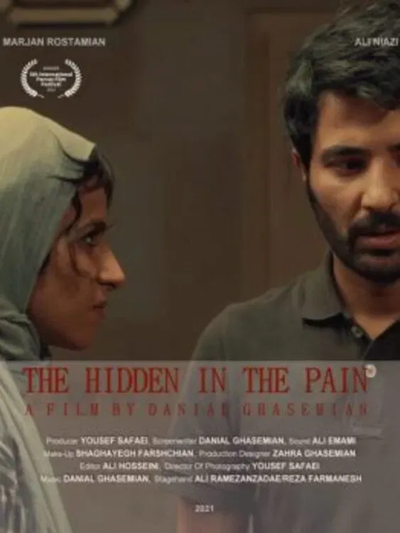 Poster of the movie The Hidden in the Pain