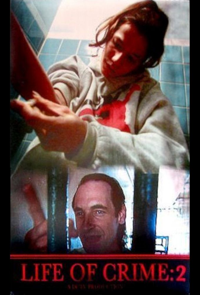 Poster of the movie Life of Crime 2