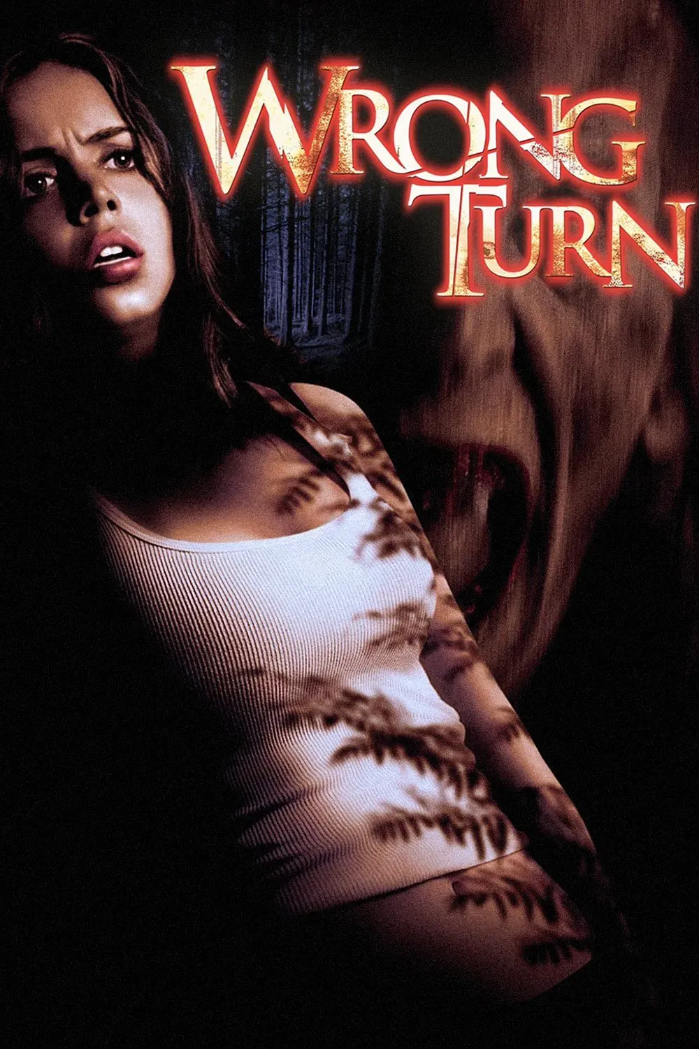 Poster of the movie Wrong Turn