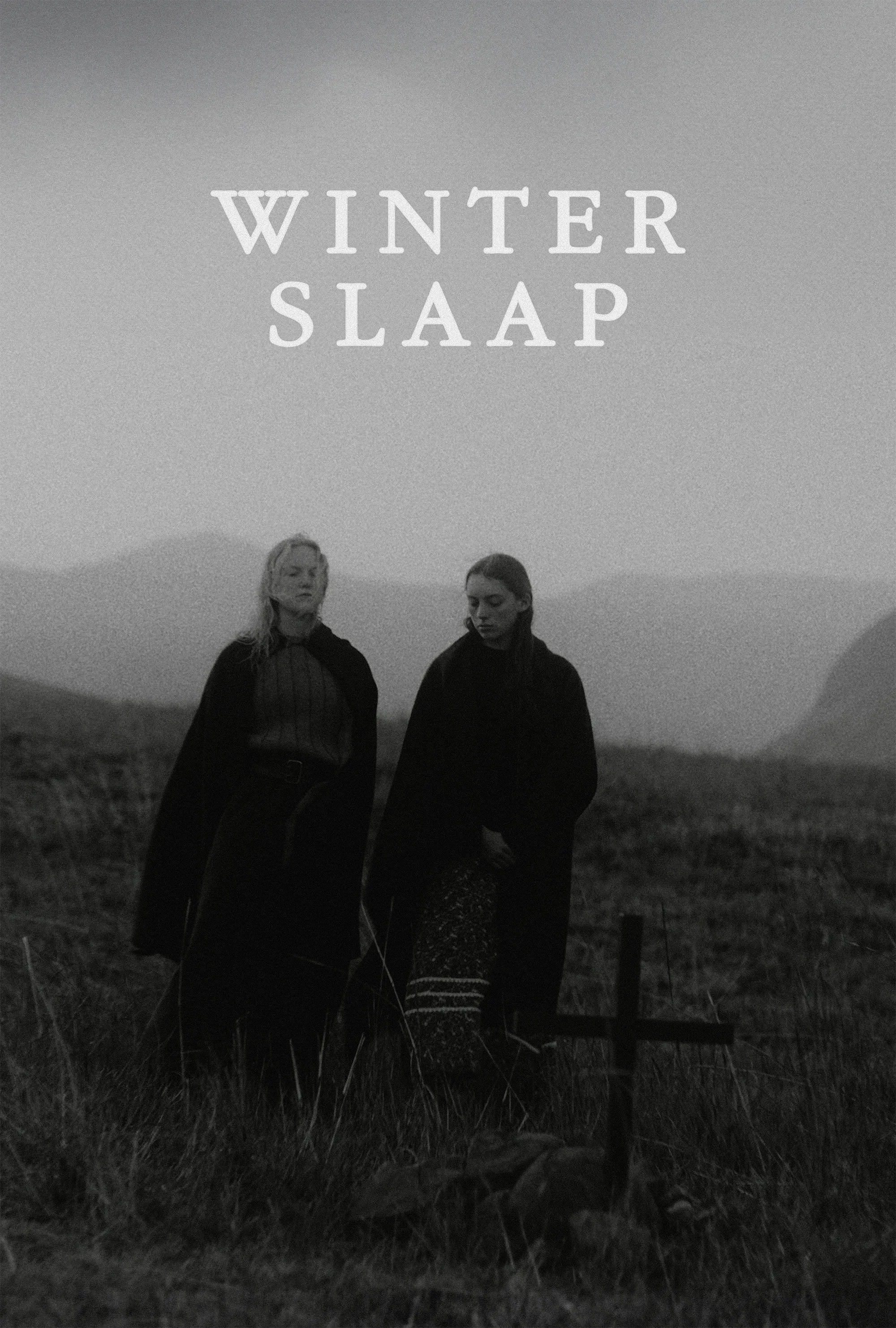 Poster for Hibernation