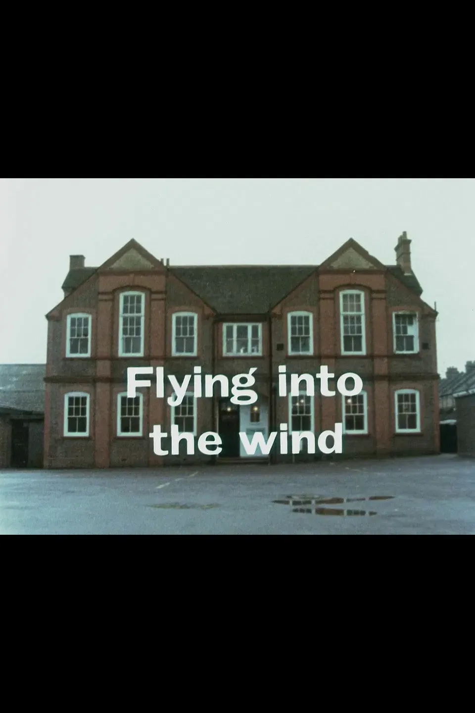 Poster of the movie Flying Into the Wind