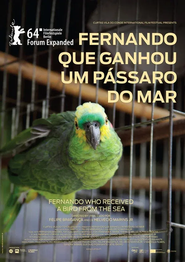 Poster for Fernando Who Received a Bird from the Sea