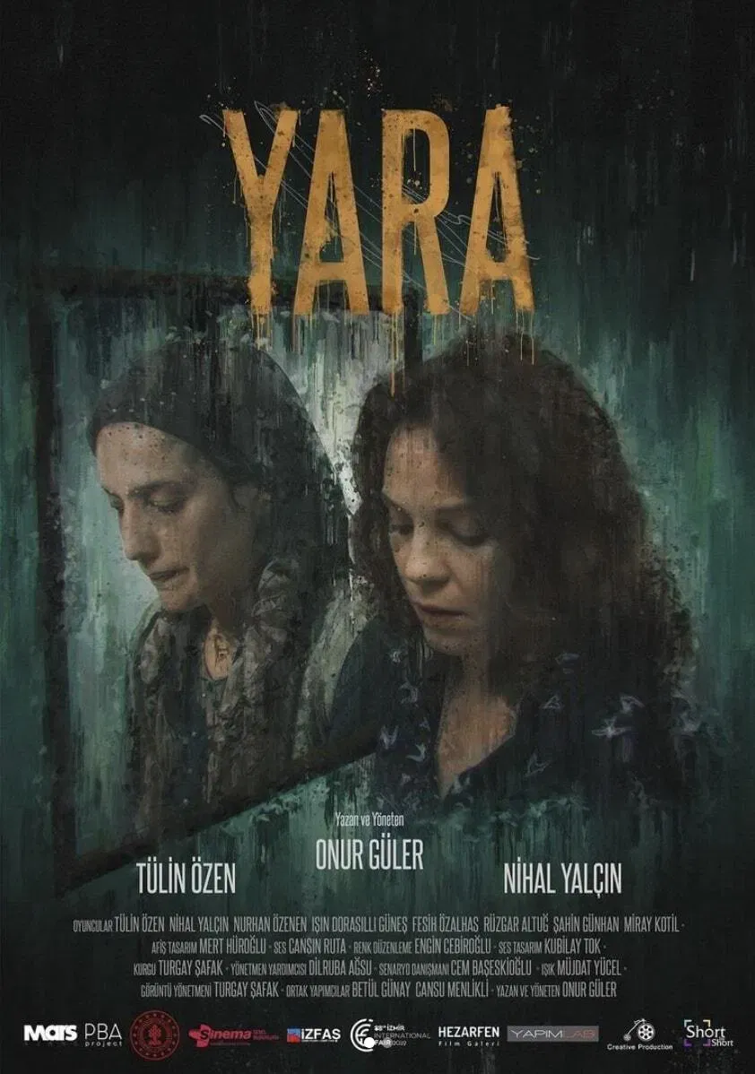 Poster of the movie The Hurt