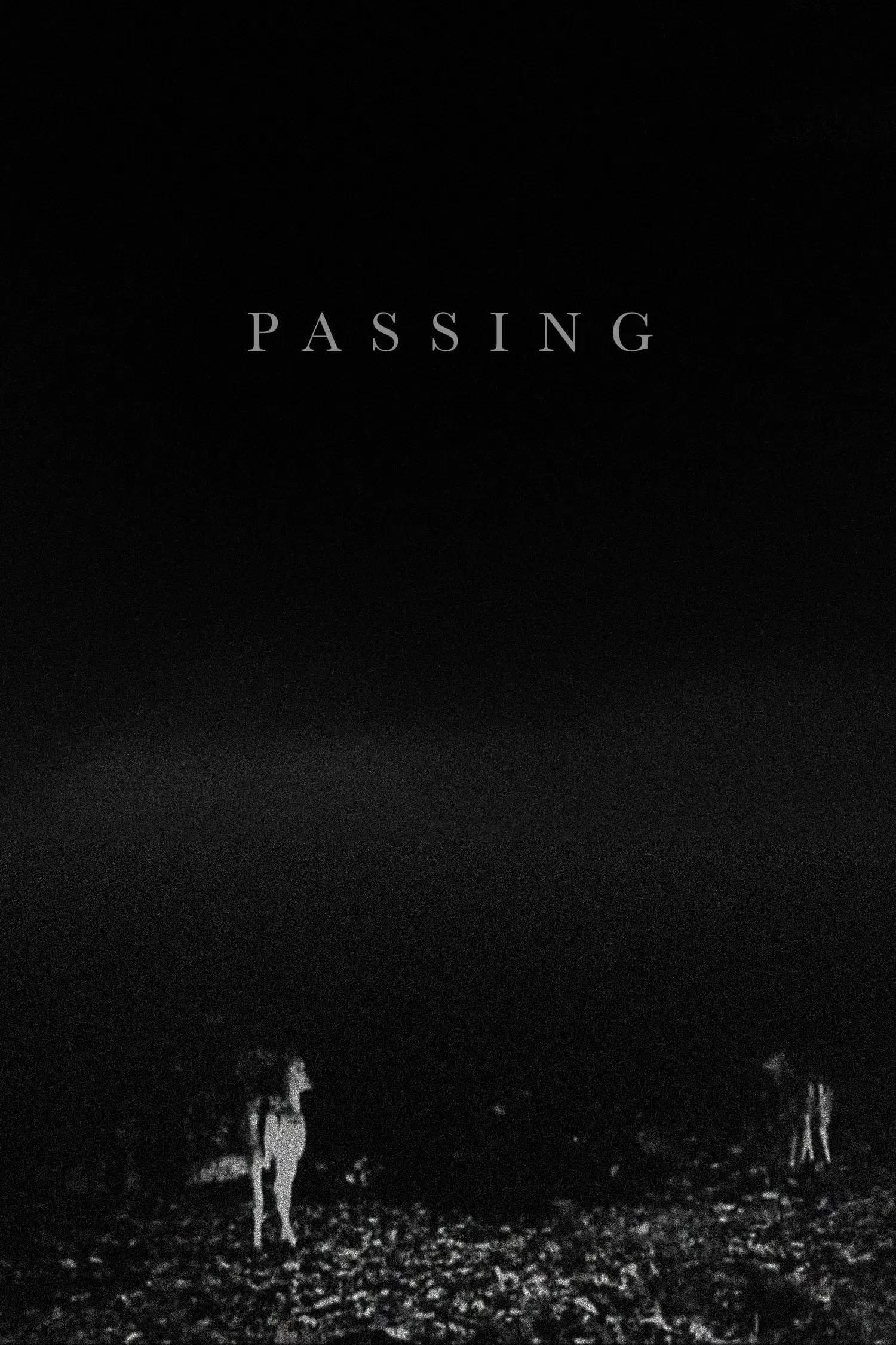 Poster of the movie Passing