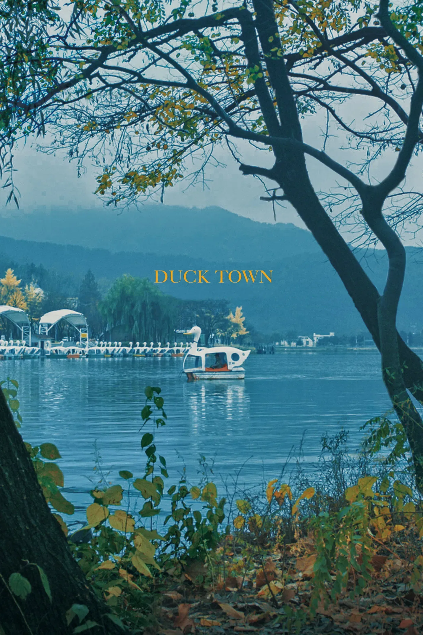 Poster of the movie Duck Town