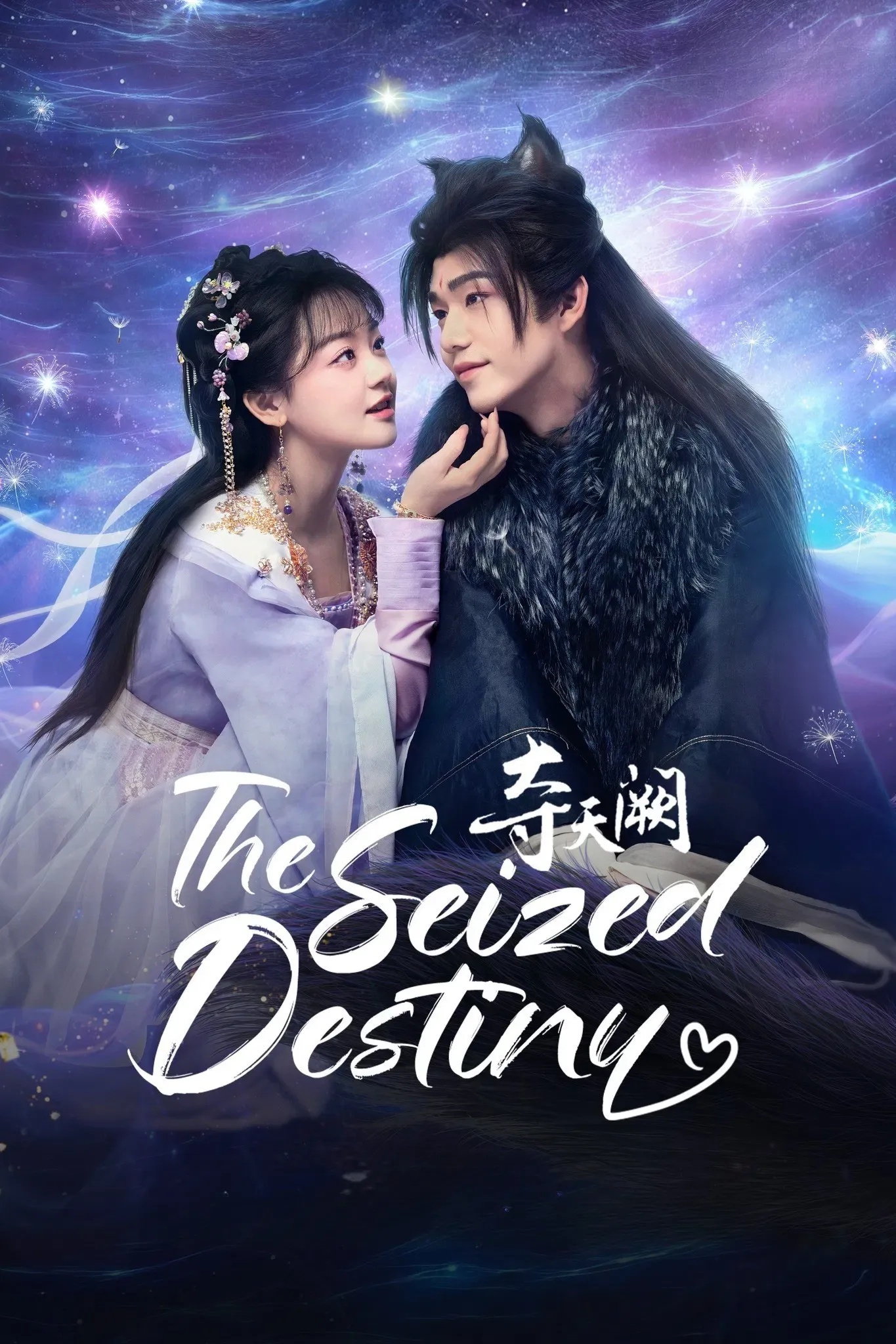 Poster of The Seized Destiny