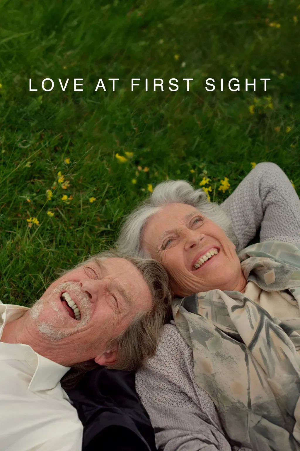 Poster of the movie Love at First Sight