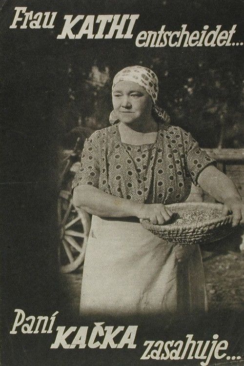 Poster of the movie Paní Kačka zasahuje...