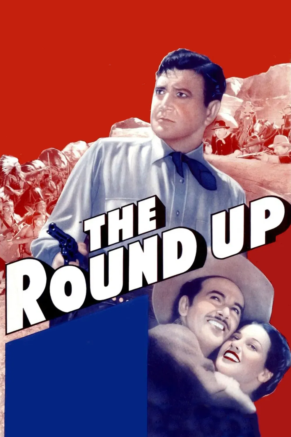 Poster of the movie The Roundup