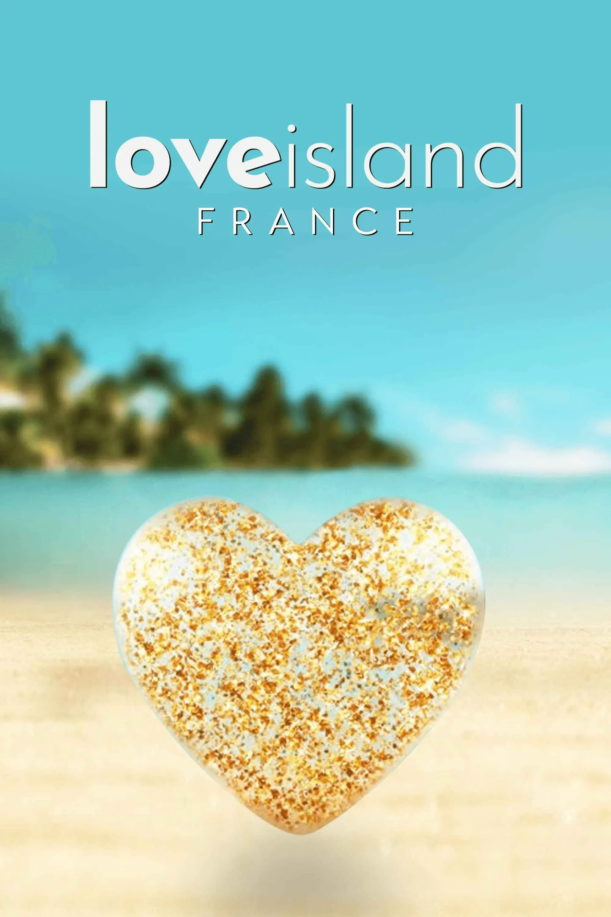 Poster of Love Island France