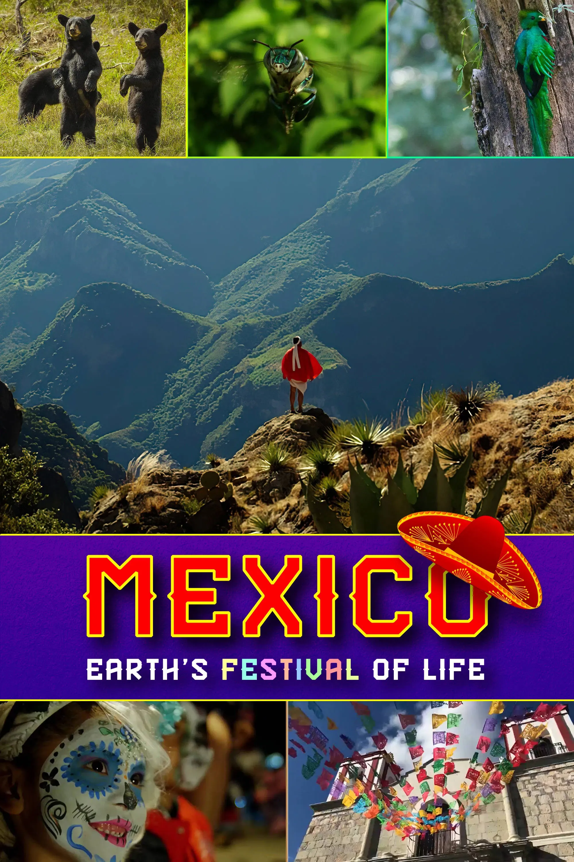 Poster of Mexico: Earth's Festival of Life