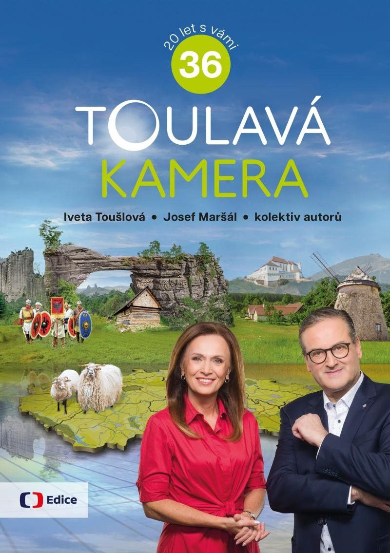 Poster of Toulavá kamera