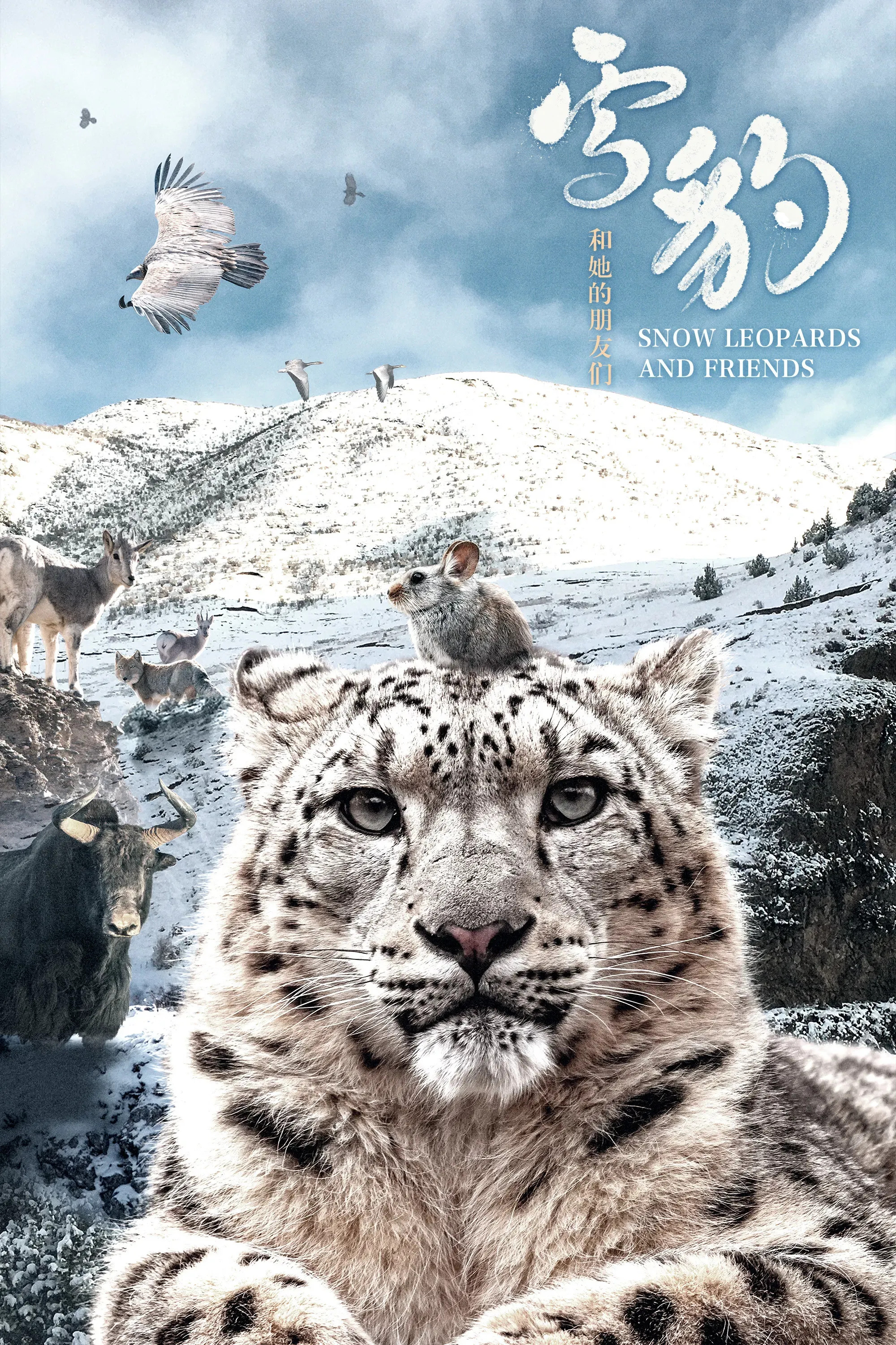 Poster of the movie Snow Leopards and Friends