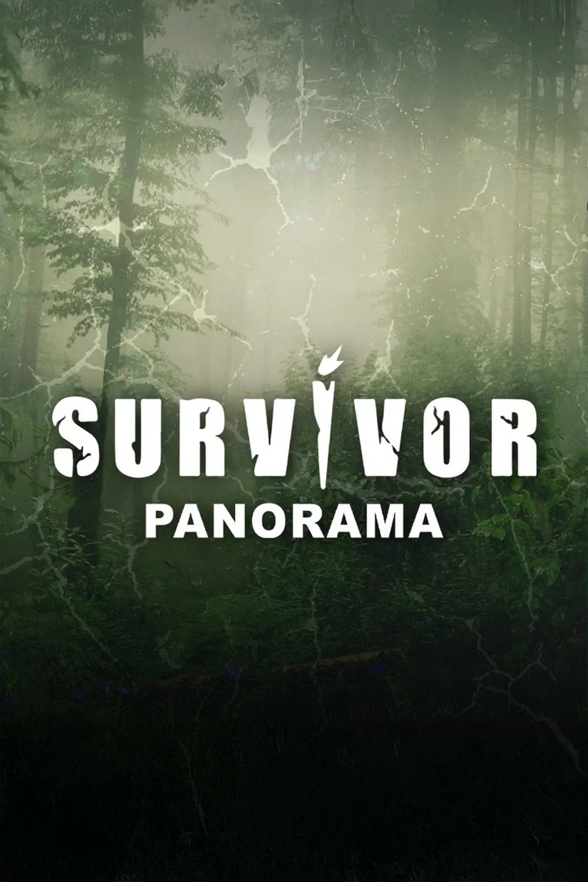 Poster of Survivor Panorama