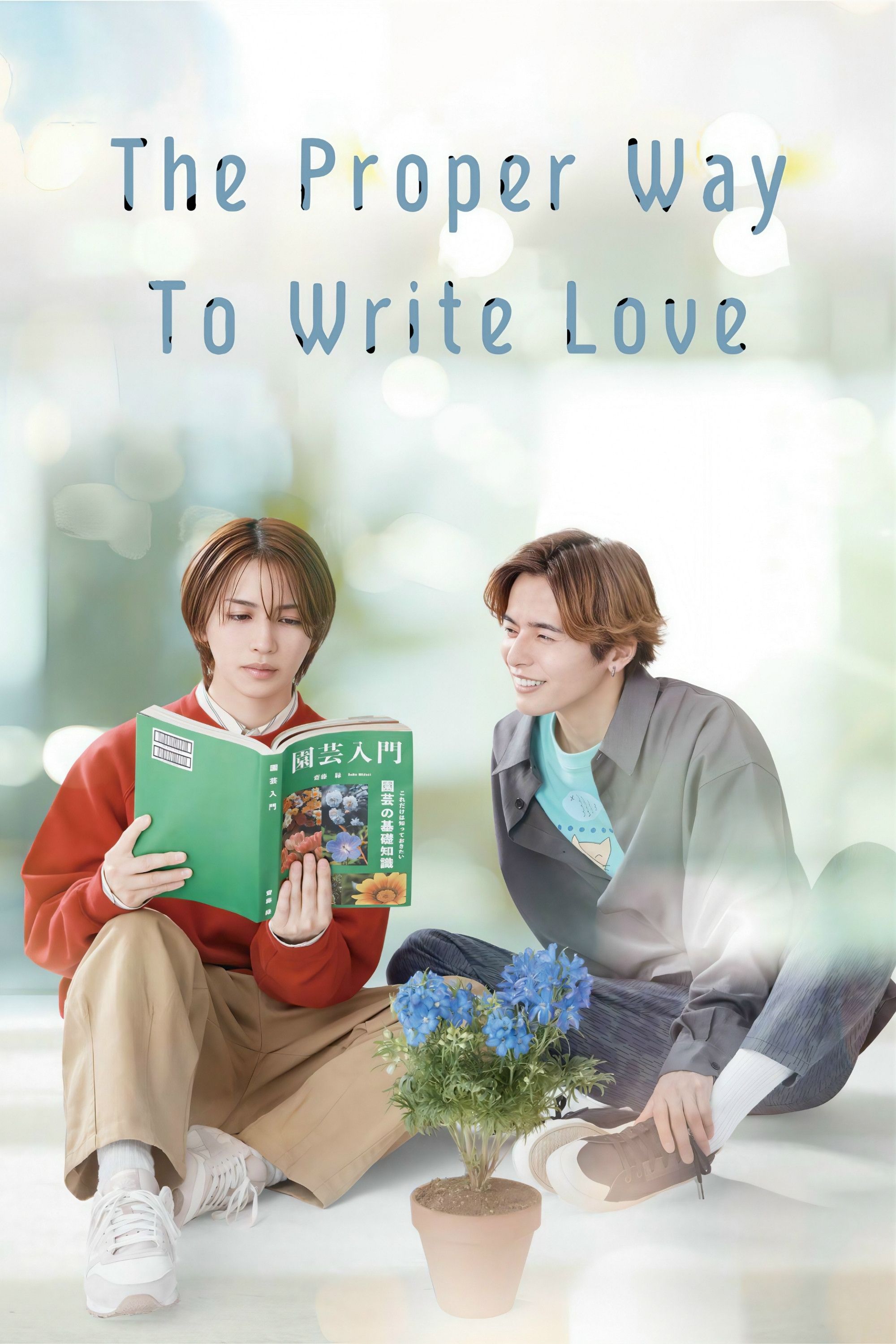 Poster of The Proper Way to Write Love