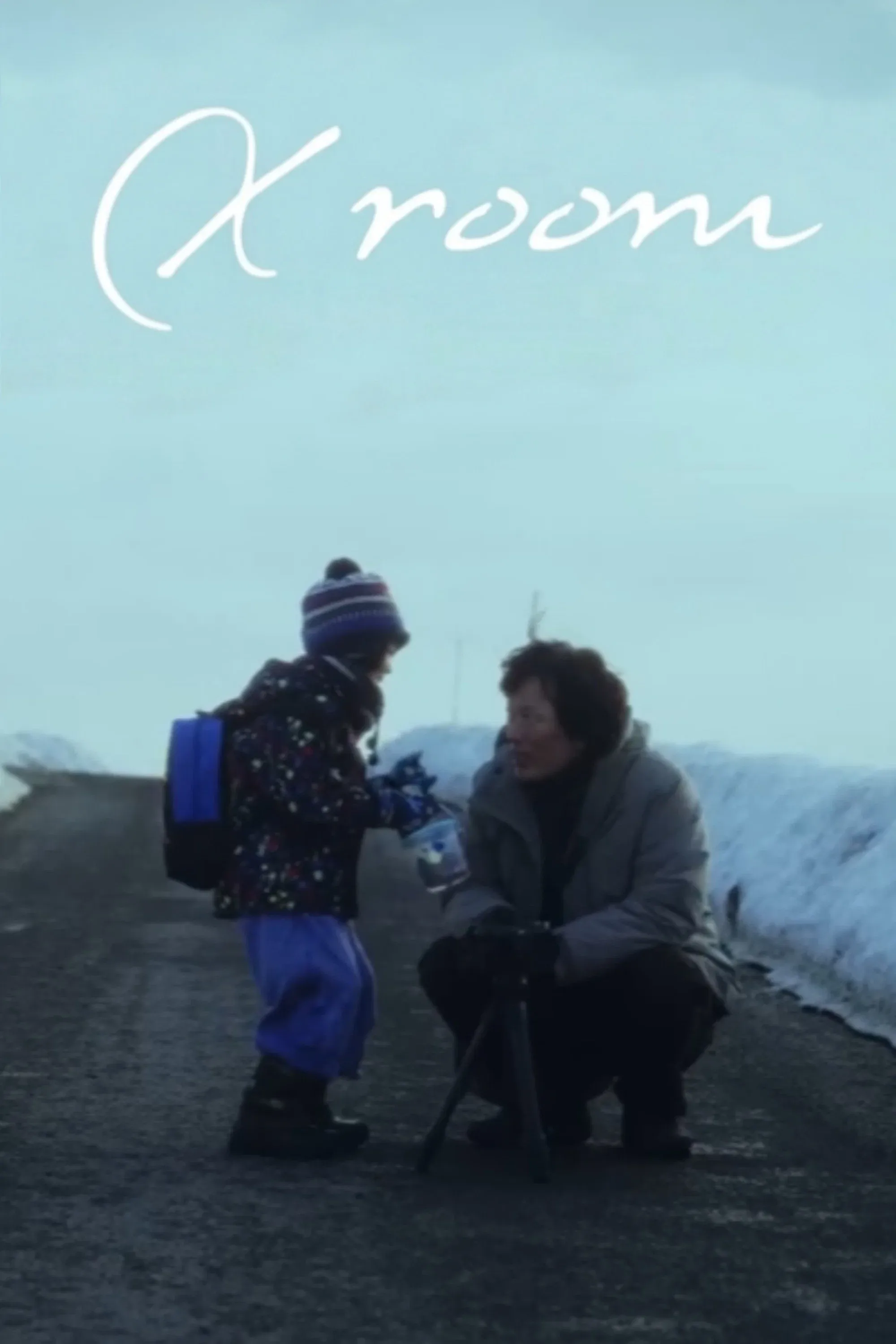Poster for X Room
