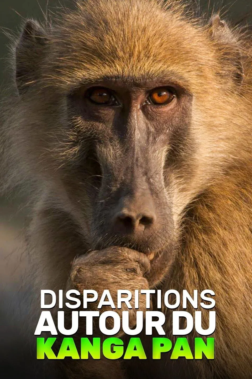Poster for Disparitions autour du Kanga Pan