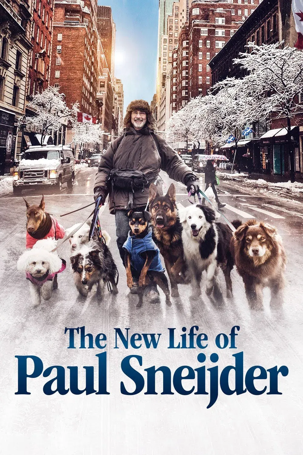Poster of the movie The New Life of Paul Sneijder