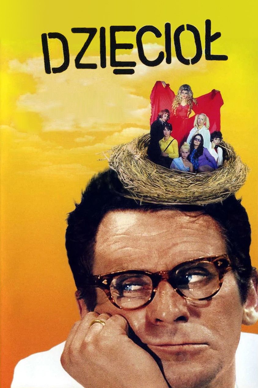 Poster of the movie The Woodpecker