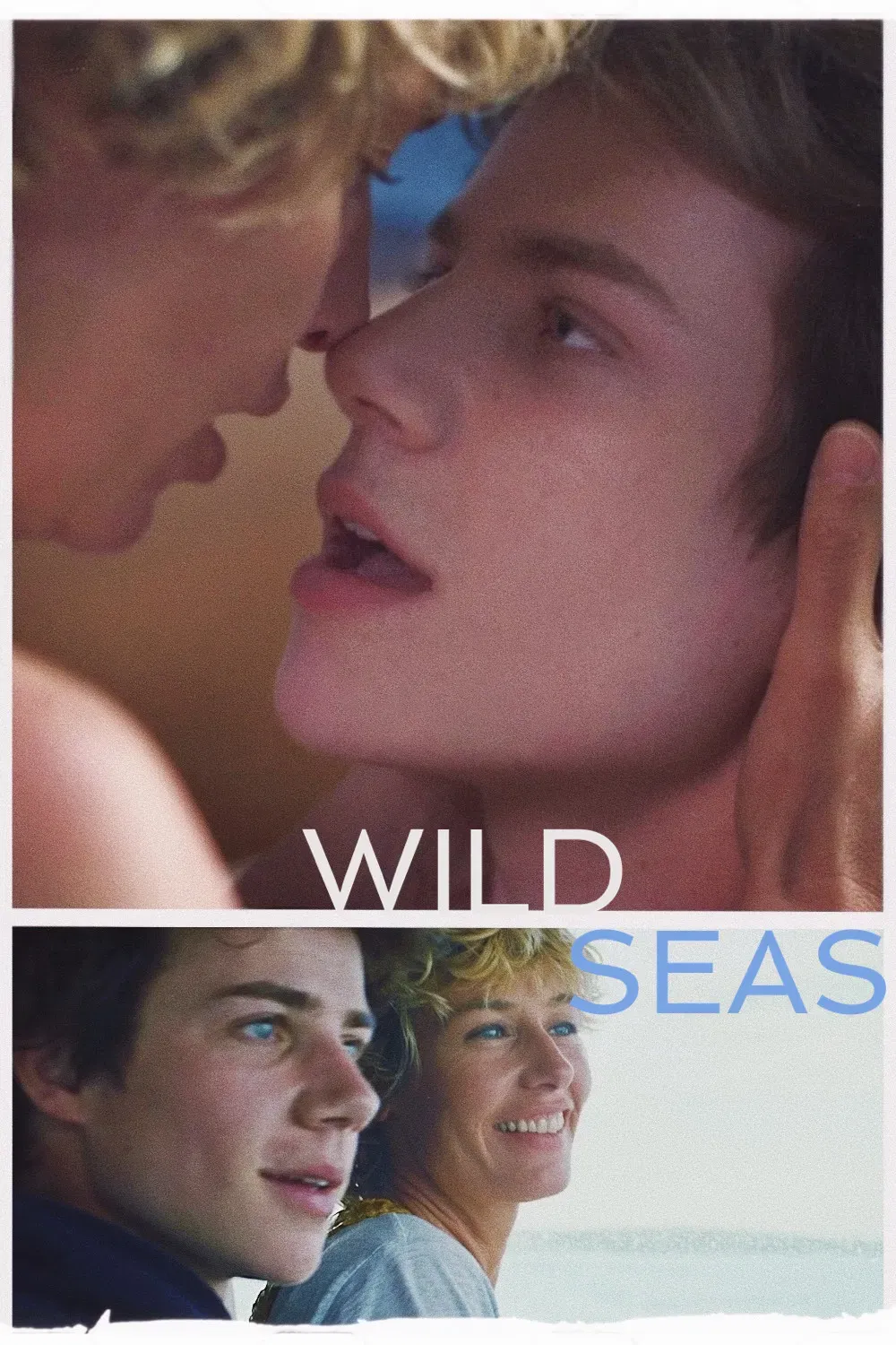 Poster of the movie Wild Seas