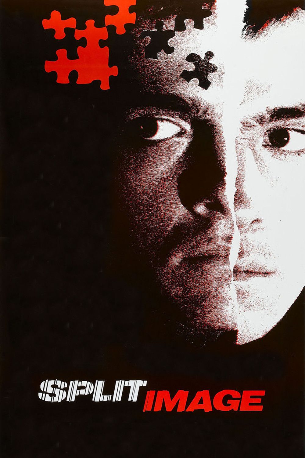 Poster of the movie Split Image