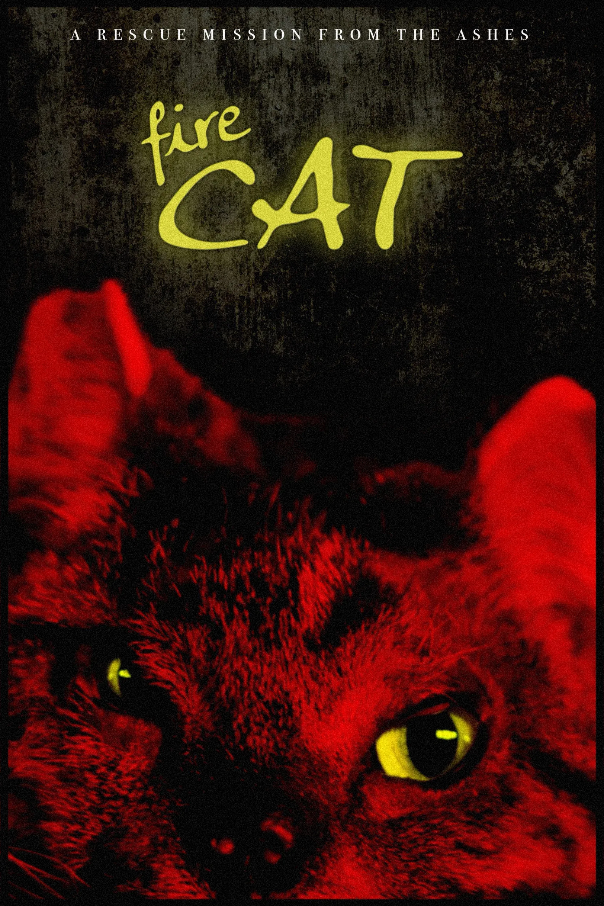 Poster for Fire Cat