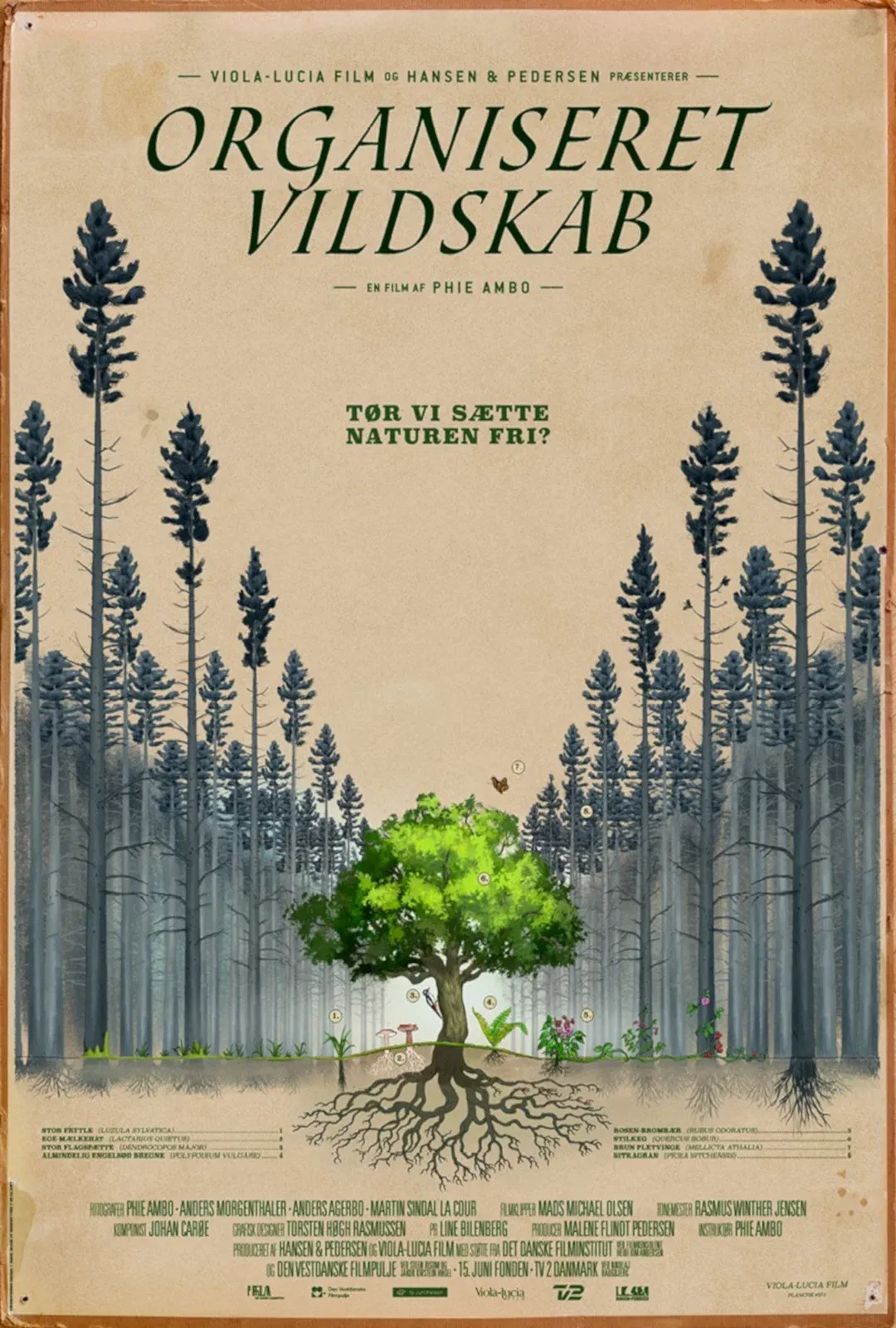 Poster for Organiseret Vildskab