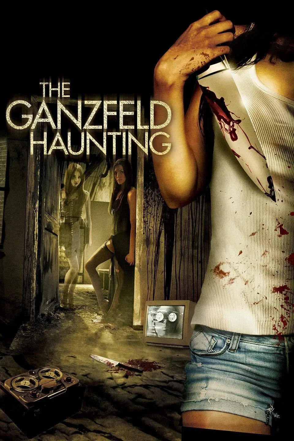 Poster of the movie The Ganzfeld Haunting
